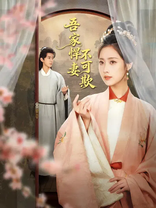 【国产剧】吾家悍妻不可欺